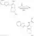Fig. 313 - Compounds for the modulation of Myc activity