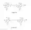 Fig. 06 - Bivalent bromodomain inhibitors and uses thereof