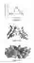 Fig. 15 - Bivalent bromodomain inhibitors and uses thereof