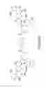 Fig. 27 - Bivalent bromodomain inhibitors and uses thereof