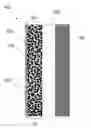 Fig. 01 - Method for synthesis of lithium fluorinated borate salts