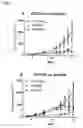 Fig. 02 - Monomaleimide-functionalized platinum compounds for cancer therapy