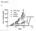 Fig. 05 - Monomaleimide-functionalized platinum compounds for cancer therapy