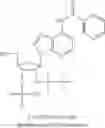 Fig. 16 - Cyclic dinucleotides for cytokine induction
