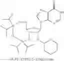 Fig. 20 - Cyclic dinucleotides for cytokine induction