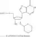 Fig. 22 - Cyclic dinucleotides for cytokine induction