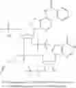 Fig. 27 - Cyclic dinucleotides for cytokine induction