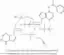 Fig. 28 - Cyclic dinucleotides for cytokine induction