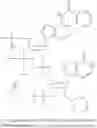 Fig. 30 - Cyclic dinucleotides for cytokine induction