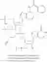 Fig. 31 - Cyclic dinucleotides for cytokine induction