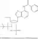 Fig. 33 - Cyclic dinucleotides for cytokine induction