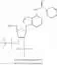 Fig. 53 - Cyclic dinucleotides for cytokine induction