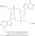 Fig. 59 - Cyclic dinucleotides for cytokine induction