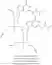 Fig. 61 - Cyclic dinucleotides for cytokine induction