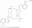 Fig. 91 - Cyclic dinucleotides for cytokine induction