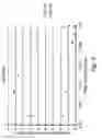 Fig. 05 - Tandem folding methods to improve protein folding yield