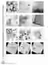 Fig. 49 - Method for fabricating two-dimensional protein crystals