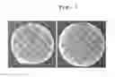 Fig. 05 - Antimicrobial peptidomimetics