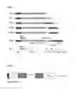 Fig. 02 - Heterodimeric vascular endothelial growth factor and use thereof