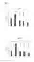 Fig. 03 - Heterodimeric vascular endothelial growth factor and use thereof