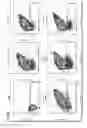 Fig. 11 - Modified chimeric receptors and related compositions and methods