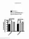 Fig. 12 - Compositions and methods for internalizing enzymes