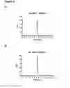 Fig. 06 - Hetero-dimeric multi-specific antibody format