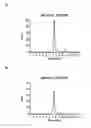 Fig. 07 - Hetero-dimeric multi-specific antibody format