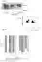 Fig. 34 - Methods to eliminate cancer stem cells by targeting CD47