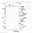 Fig. 04 - ANTIBODIES, COMPOUNDS AND SCREENS FOR IDENTIFYING AND TREATING CACHEXIA OR PRE-CACHEXIA