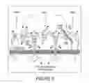 Fig. 09 - ANTIBODIES, COMPOUNDS AND SCREENS FOR IDENTIFYING AND TREATING CACHEXIA OR PRE-CACHEXIA