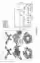 Fig. 10 - ANTIBODIES, COMPOUNDS AND SCREENS FOR IDENTIFYING AND TREATING CACHEXIA OR PRE-CACHEXIA