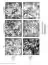 Fig. 53 - ANTIBODIES, COMPOUNDS AND SCREENS FOR IDENTIFYING AND TREATING CACHEXIA OR PRE-CACHEXIA