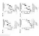 Fig. 19 - Anti-TIGIT antibodies and methods of use thereof