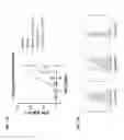 Fig. 22 - Anti-TIGIT antibodies and methods of use thereof