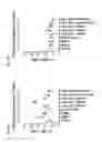 Fig. 24 - Anti-TIGIT antibodies and methods of use thereof
