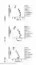 Fig. 30 - Anti-TIGIT antibodies and methods of use thereof