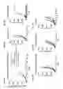Fig. 33 - Anti-TIGIT antibodies and methods of use thereof