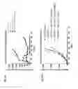 Fig. 34 - Anti-TIGIT antibodies and methods of use thereof