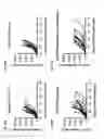 Fig. 37 - Anti-TIGIT antibodies and methods of use thereof