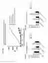 Fig. 41 - Anti-TIGIT antibodies and methods of use thereof