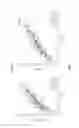Fig. 04 - Antibodies to ICOS