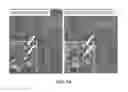 Fig. 09 - Antibodies to ICOS