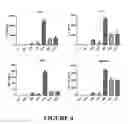 Fig. 05 - Compositions and methods for treating cancer with anti-CD19/CD20 immunotherapy