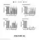 Fig. 08 - Compositions and methods for treating cancer with anti-CD19/CD20 immunotherapy