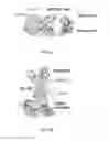 Fig. 06 - FACTOR XI ANTIBODIES AND METHODS OF USE