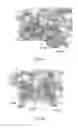 Fig. 07 - FACTOR XI ANTIBODIES AND METHODS OF USE