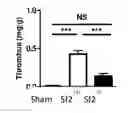 Fig. 01 - Prophylaxis of thrombosis