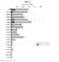 Fig. 05 - ANTI-CD47 ANTIBODIES AND METHODS OF USE THEREOF