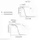 Fig. 13 - ANTI-CD47 ANTIBODIES AND METHODS OF USE THEREOF